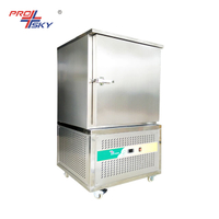 Small Air Professional Blast Chiller